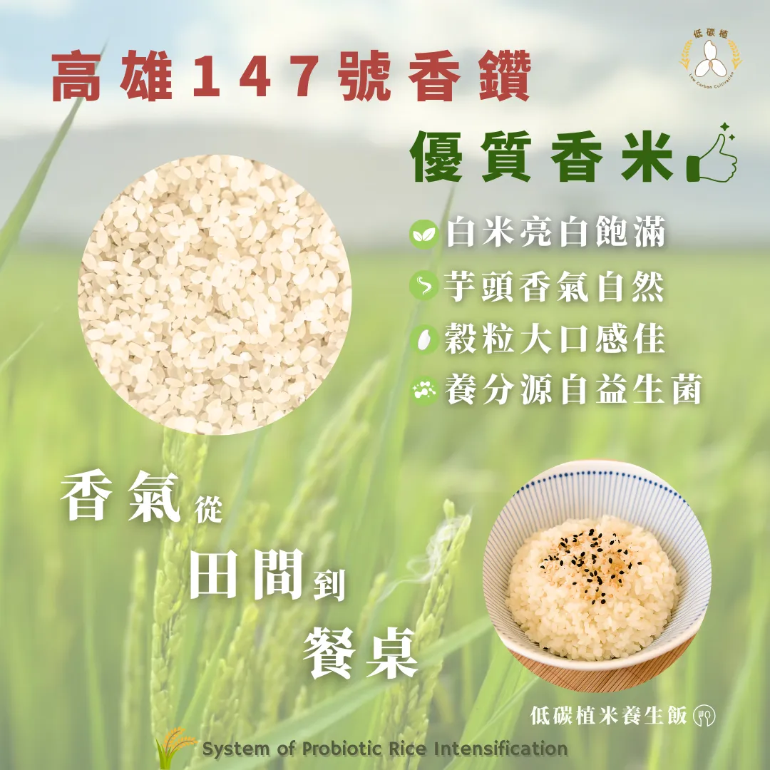 低碳植米-屏科永約-主控智農-益生菌水稻強化栽培系統-高雄147香鑽-優質香米-SPRI-優質香米