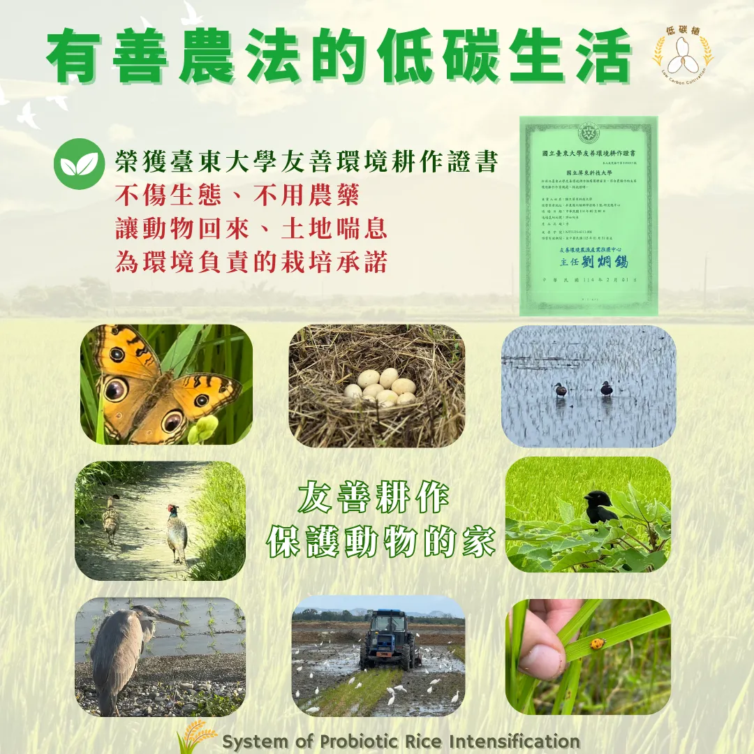 低碳植米-屏科永約-主控智農-益生菌水稻強化栽培系統-高雄147香鑽-優質香米-SPRI-友善農法