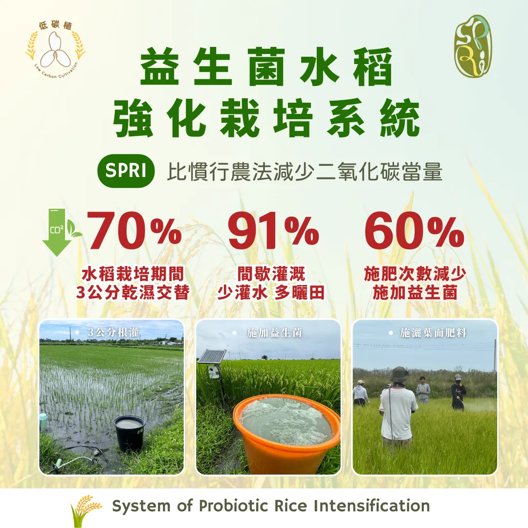 低碳植米-屏科永約-主控智農-益生菌水稻強化栽培系統-高雄147香鑽-優質香米-SPRI農法