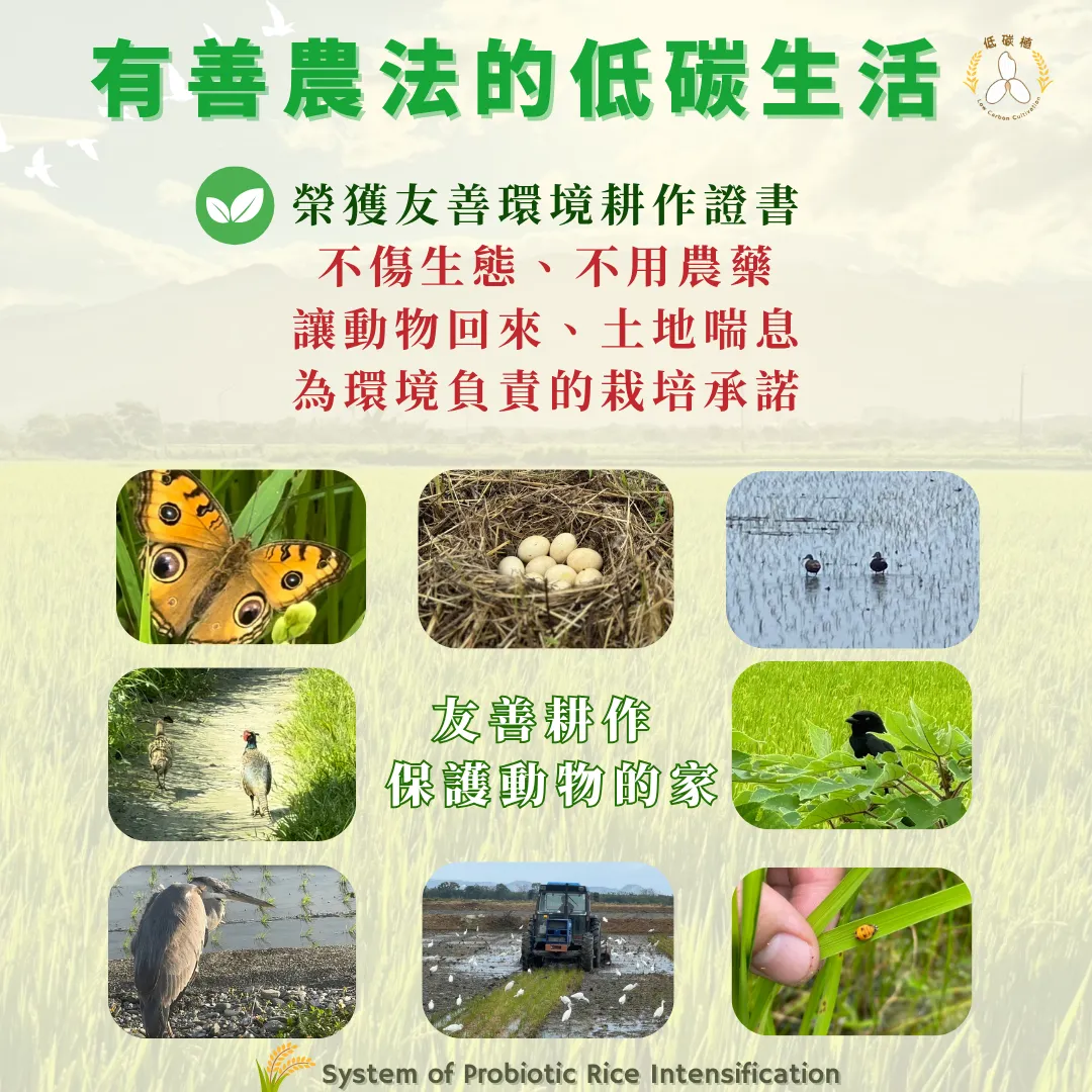 碳植米-屏科永約-主控智農-益生菌水稻強化栽培系統-高雄147香鑽-優質香米-SPRI-友善農法