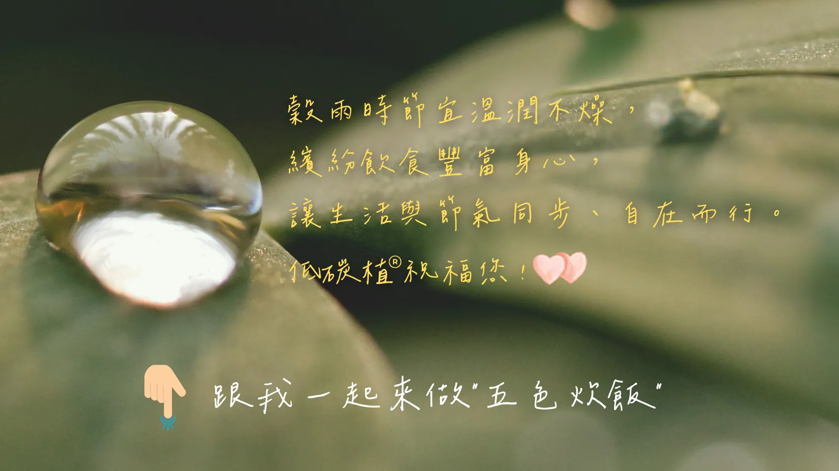 24節氣怎麼吃 穀雨篇 五色炊飯 低碳植祝福