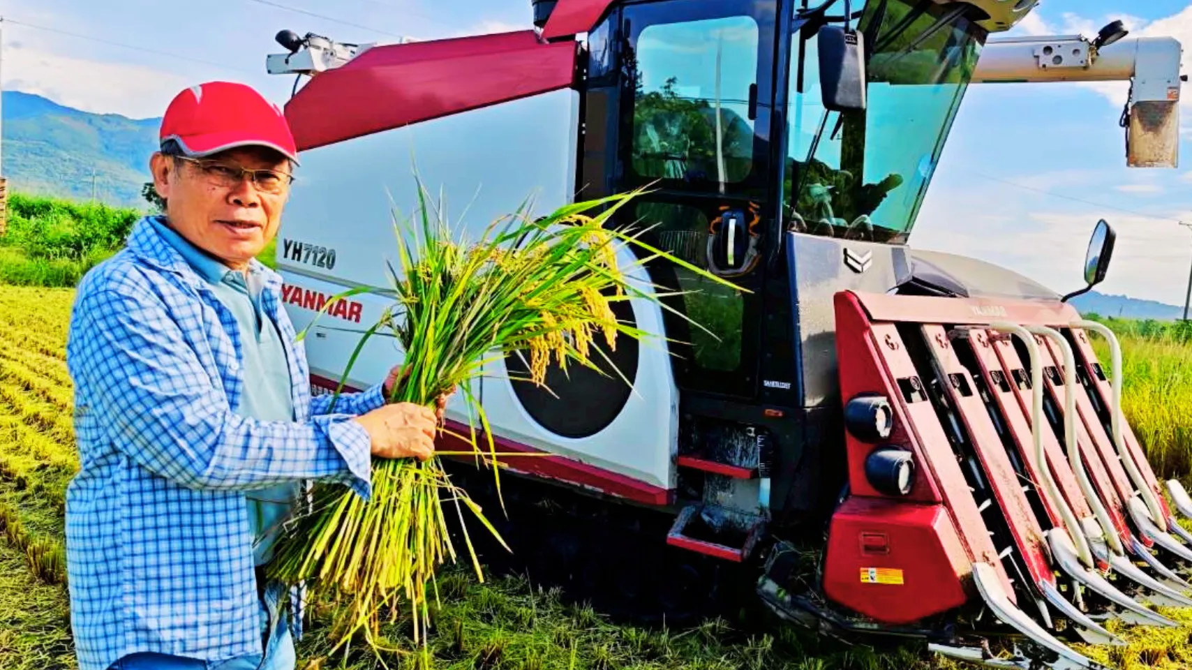 低碳植米之父─屏科大王裕民退休榮譽教授致力於研究SPRI減碳農法十餘年。在2025.6.16在低碳植米田間一起收割。