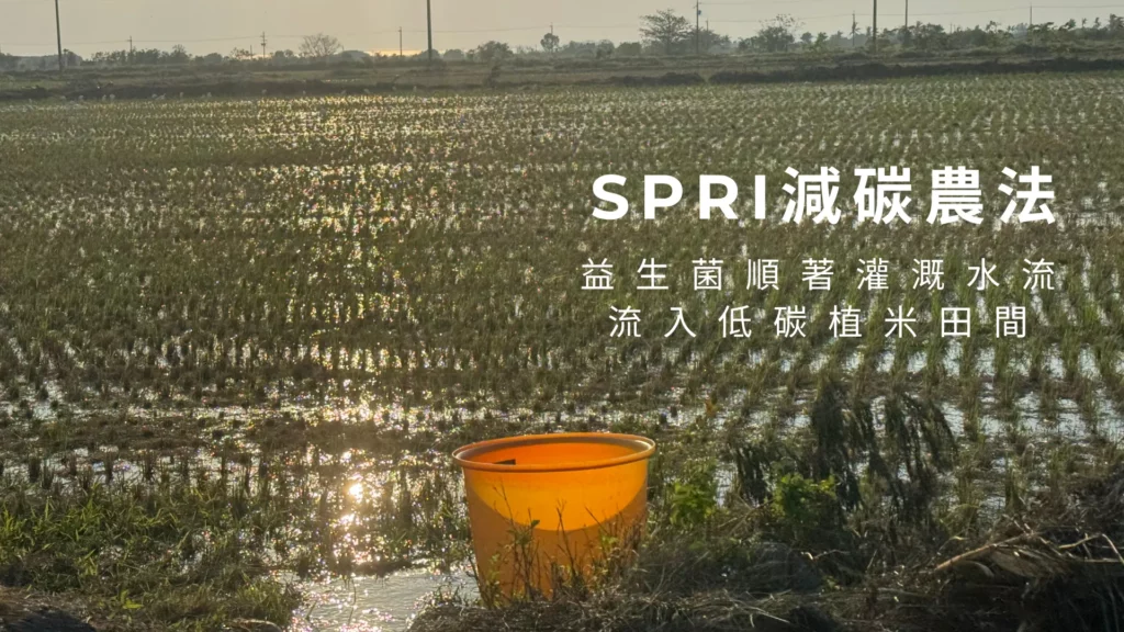 益生菌順著灌溉水流 流入低碳植米田間