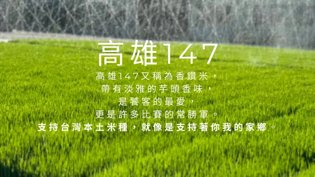 低碳再生的田區選用高雄147的秧苗。 高雄147又稱為香鑽米， 帶有淡雅的芋頭香味， 是饕客的最愛， 更是許多比賽的常勝軍。 支持台灣本土米種，就像是支持著你我的家鄉。