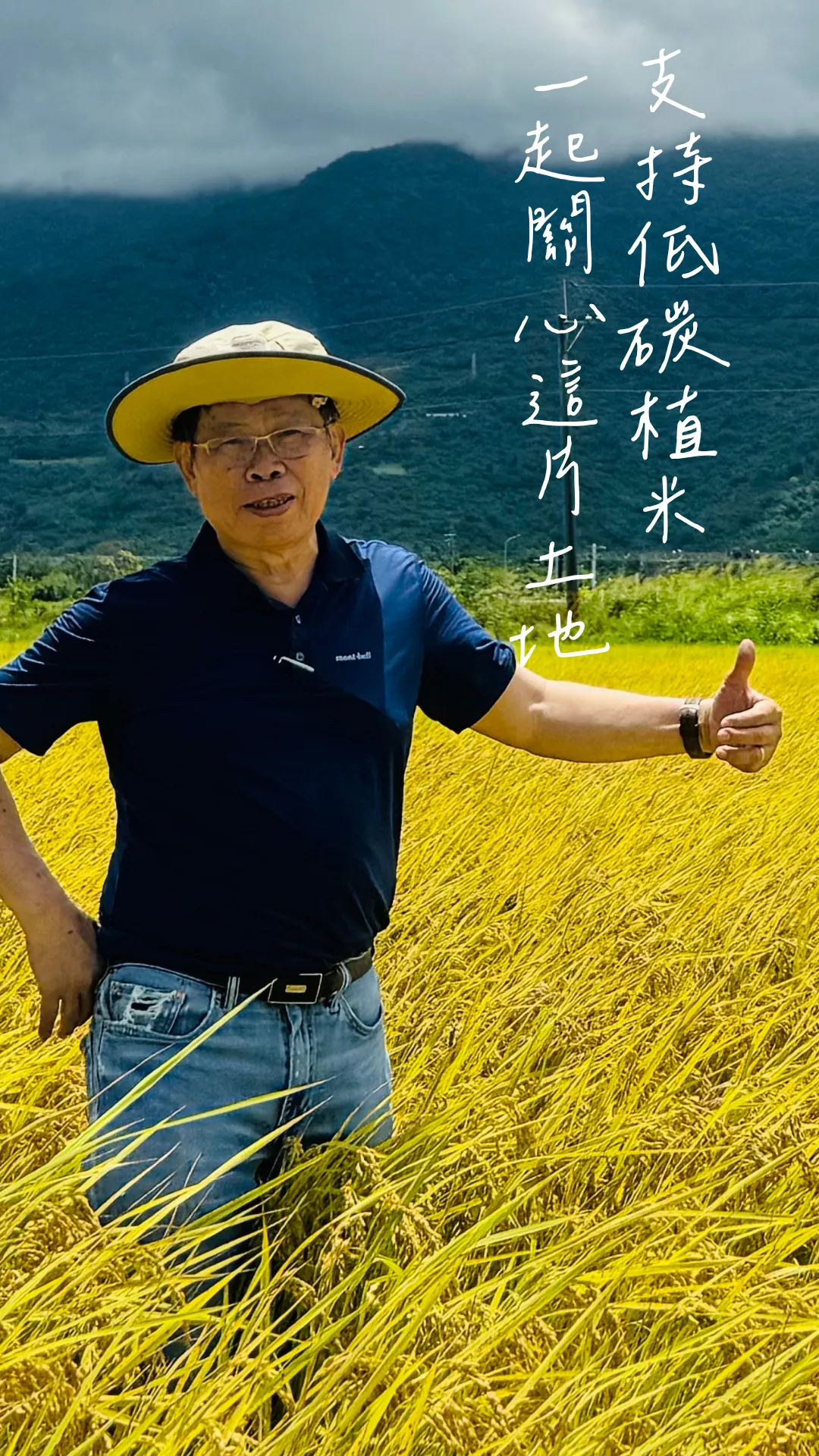 低碳植米田區-生態多樣-支持低碳植米-一起關心這片土地