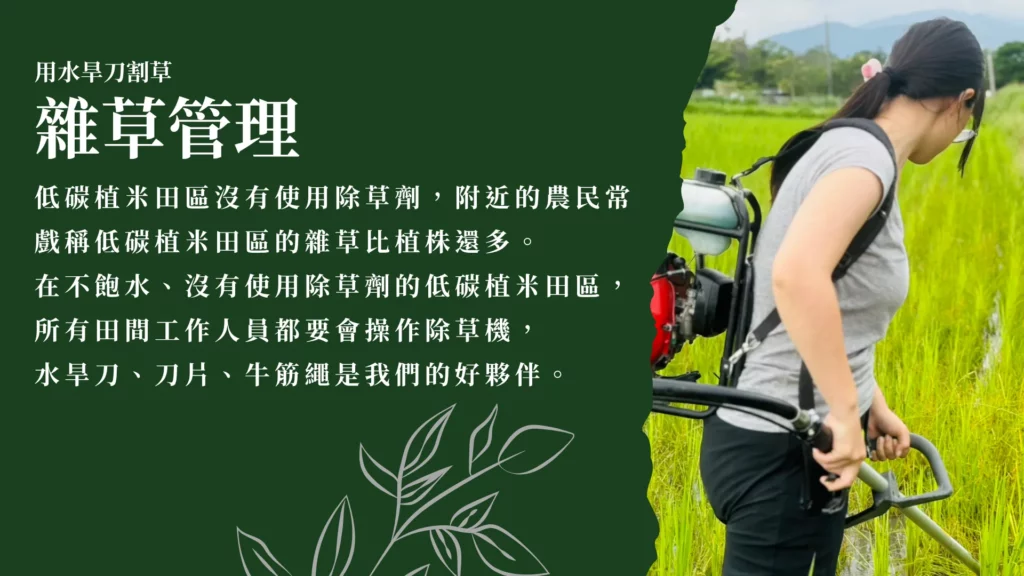 低碳植米田區沒有使用除草劑，附近的農民常戲稱低碳植米田區的雜草比植株還多。 在不飽水、沒有使用除草劑的低碳植米田區，所有田間工作人員都要會操作除草機， 水旱刀、刀片、牛筋繩是我們的好夥伴。