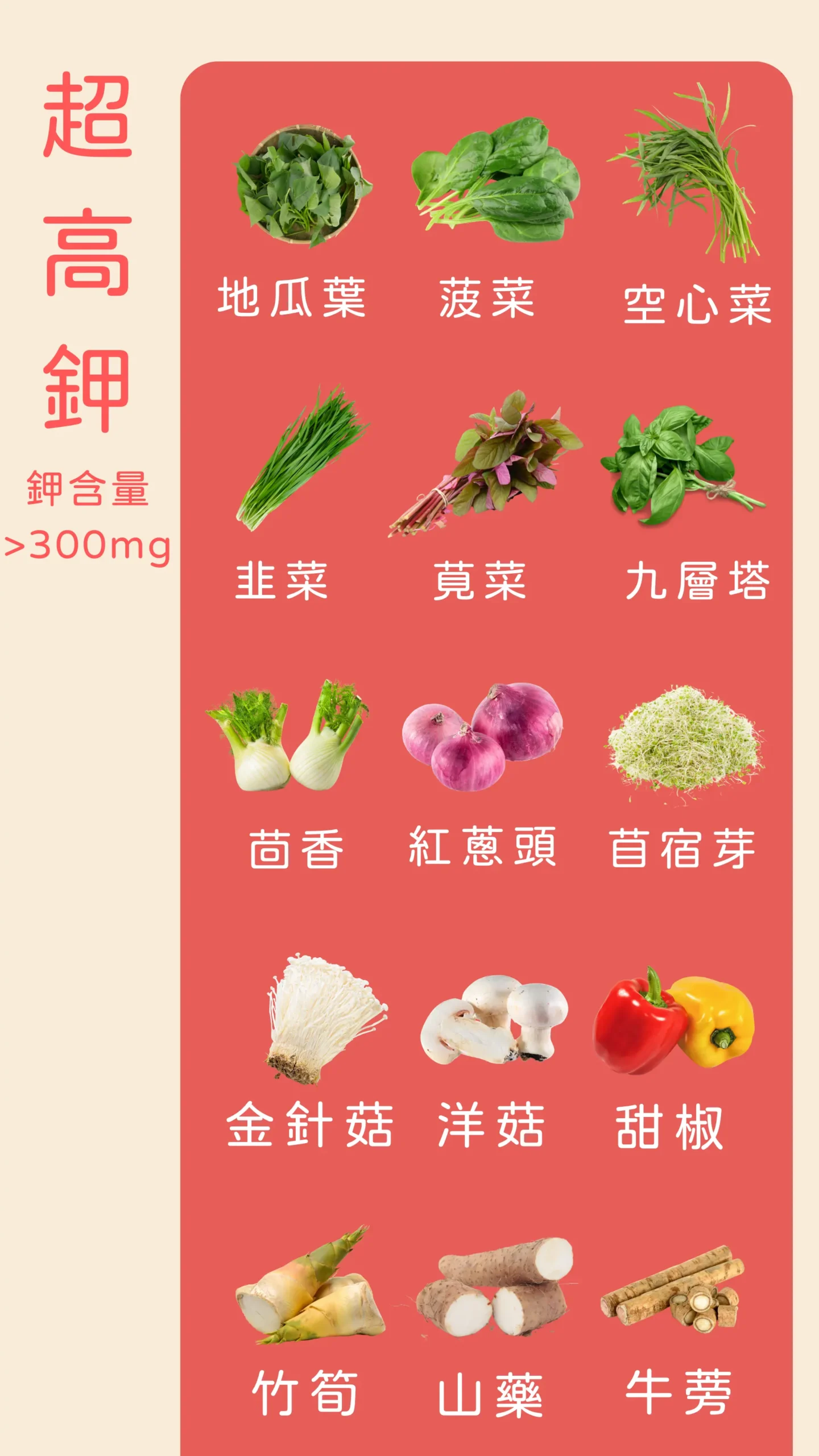 超高鉀蔬菜 食物鉀含量衛教圖卡