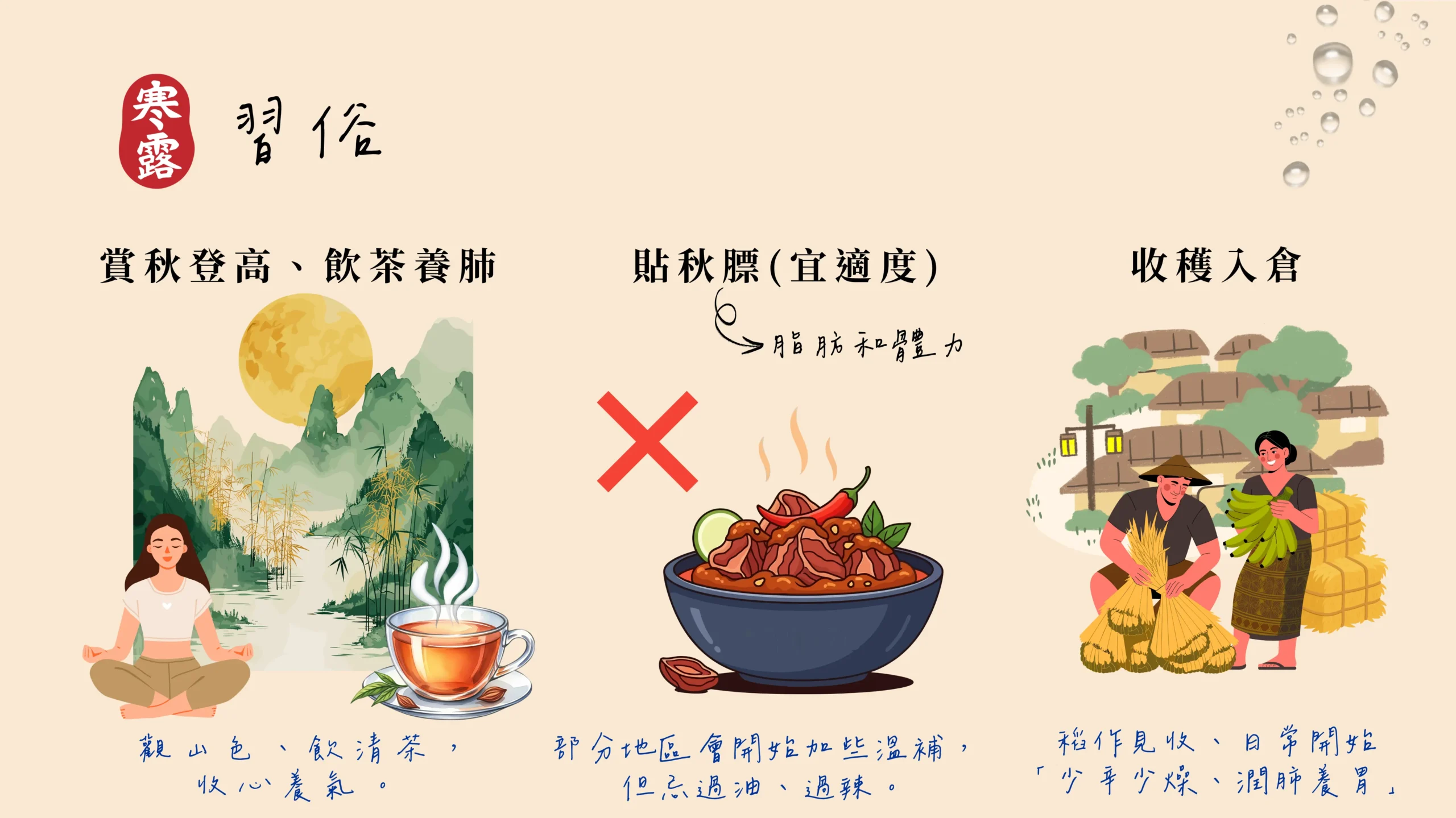 寒露節氣習俗 飲茶養肺 圖解