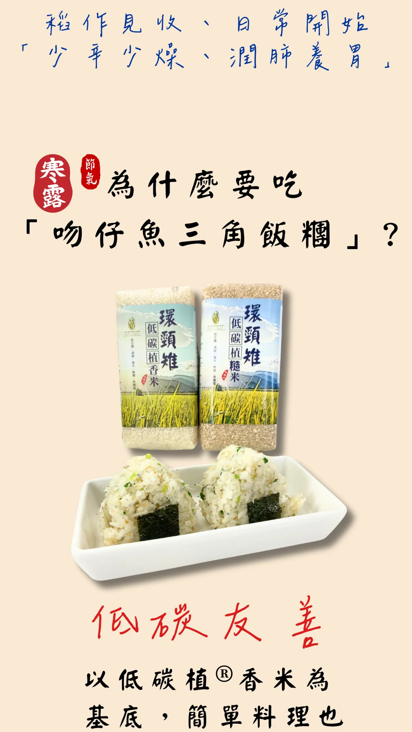 為什麼寒露要吃 吻仔魚三角飯糰 低碳料理圖卡