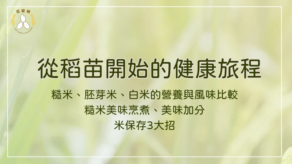 糙米 胚芽米 白米 健康旅程 營養比較 圖卡