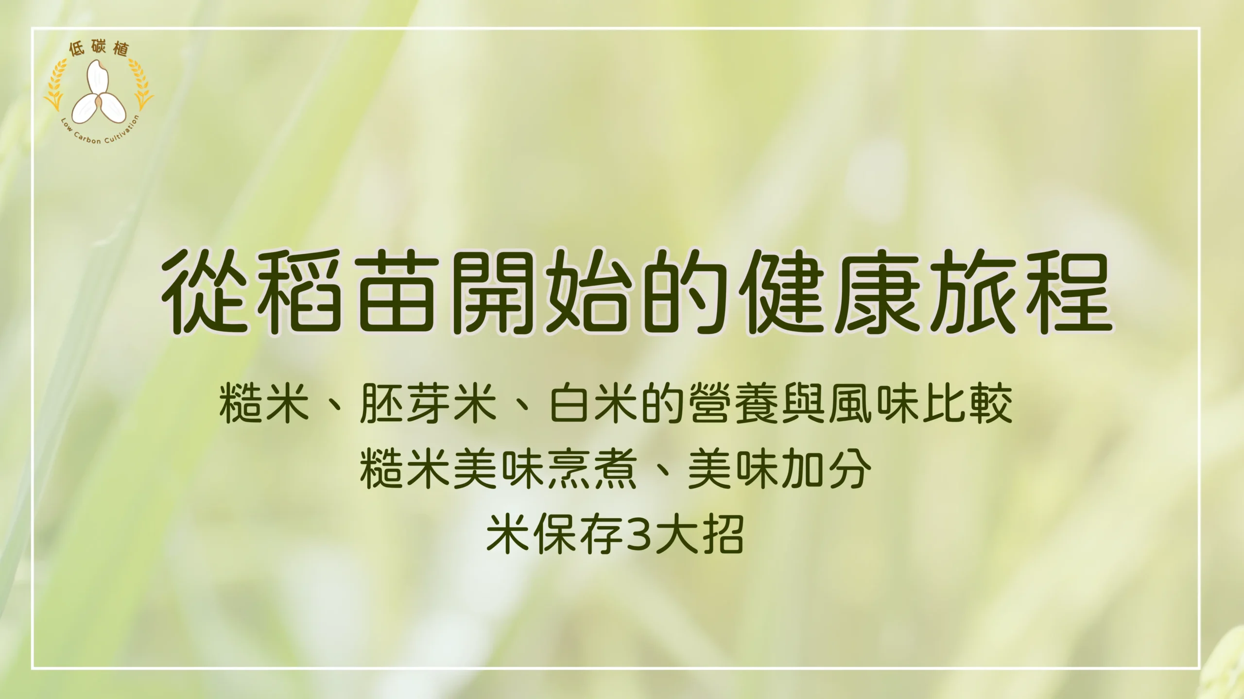 糙米 胚芽米 白米 健康旅程 營養比較 圖卡