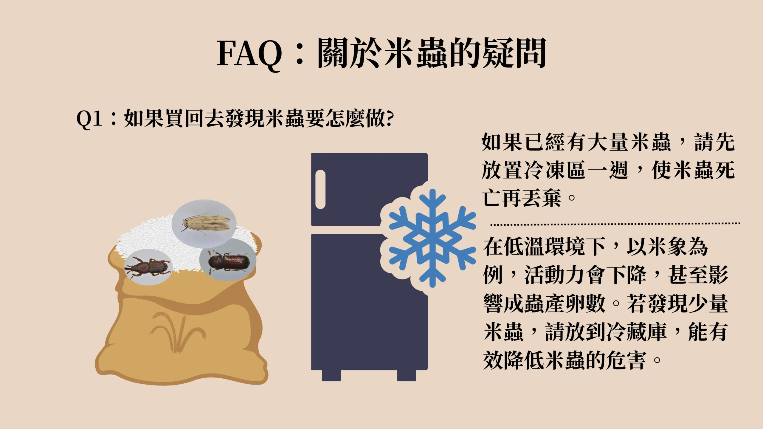 常見問題：如果買回米後發現米蟲該怎麼處理，包含冷凍、冷藏 處理的圖示。