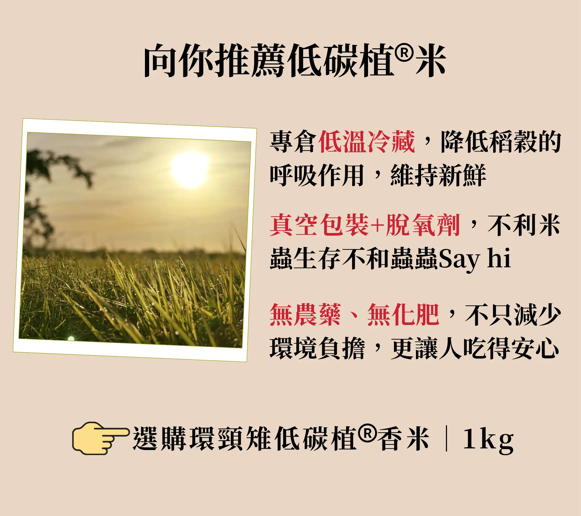推薦低碳植米，強調低溫冷藏、真空包裝等特點