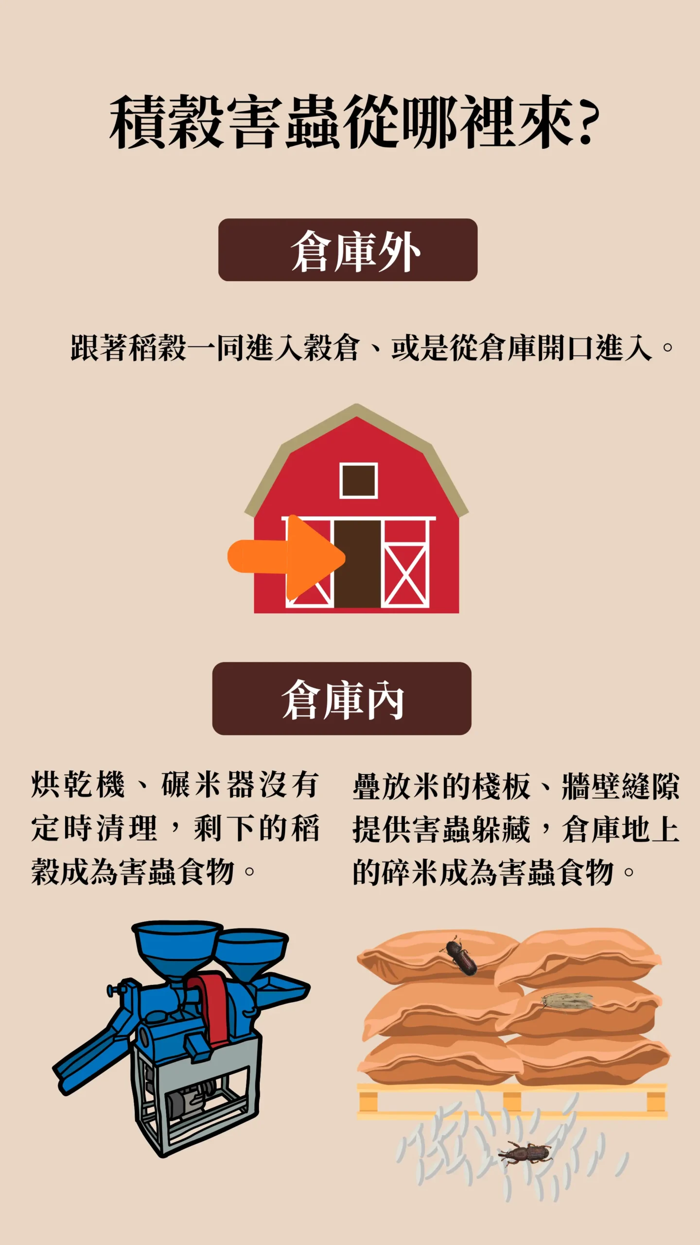 穀物害蟲的來源，分為倉庫外和倉庫內。