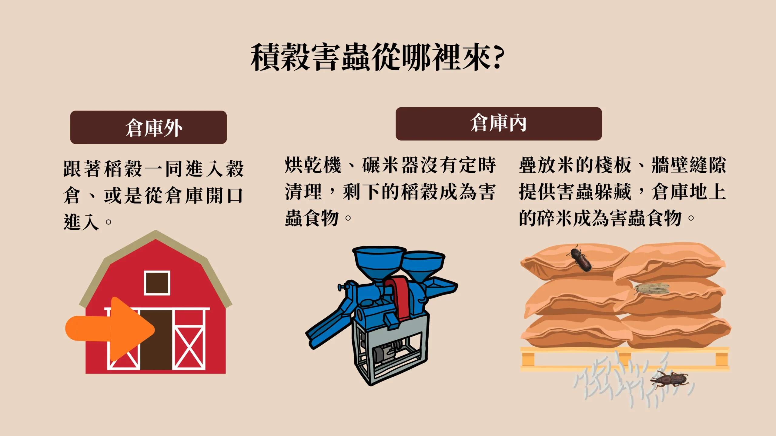 穀物害蟲的來源，分為倉庫外和倉庫內。