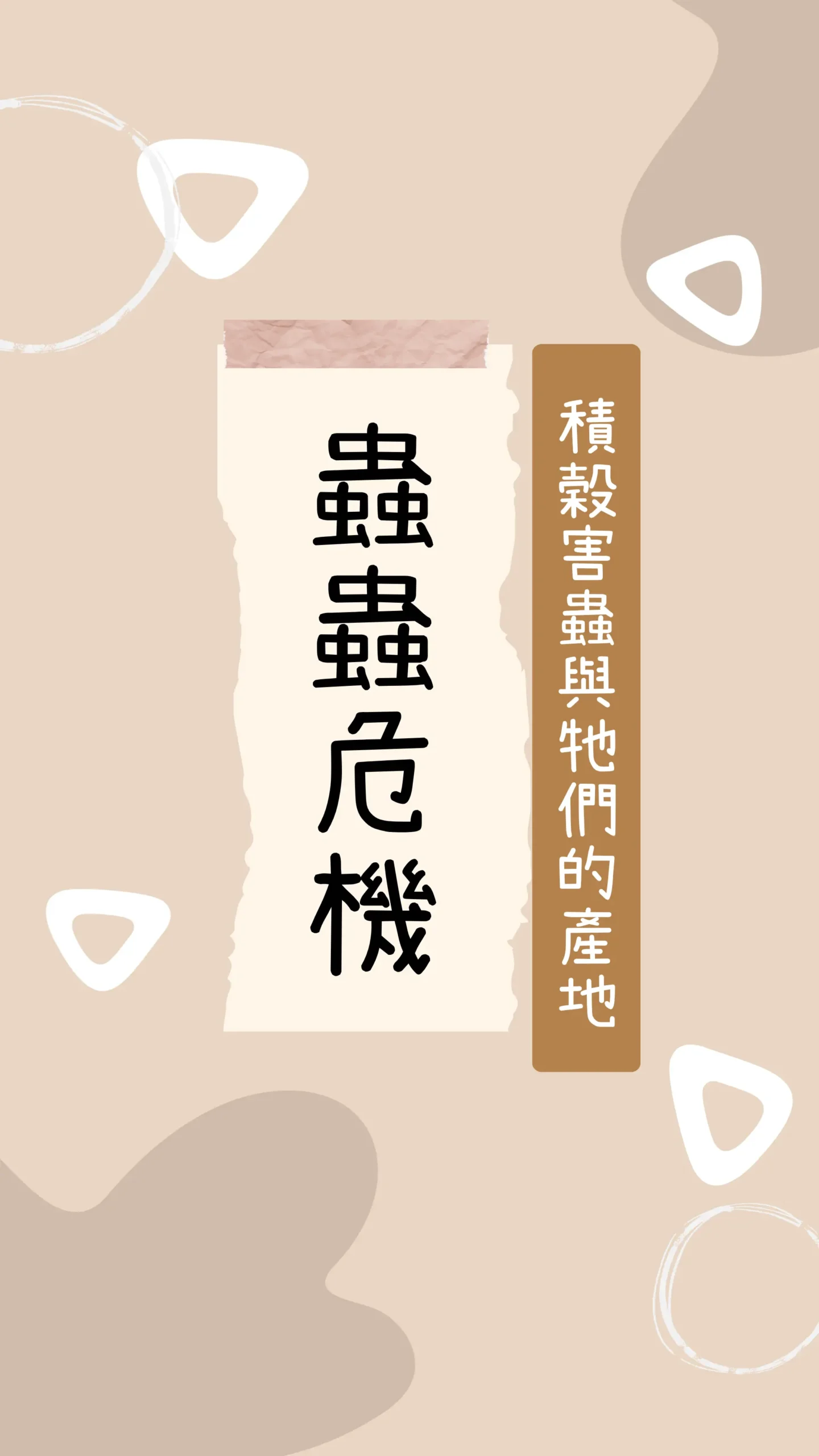 以積穀蟲害為主題的圖卡，標題為「蟲蟲危機：積穀害蟲與牠們的產地」，介紹米蟲與穀害蟲對天然稻米保存的影響。