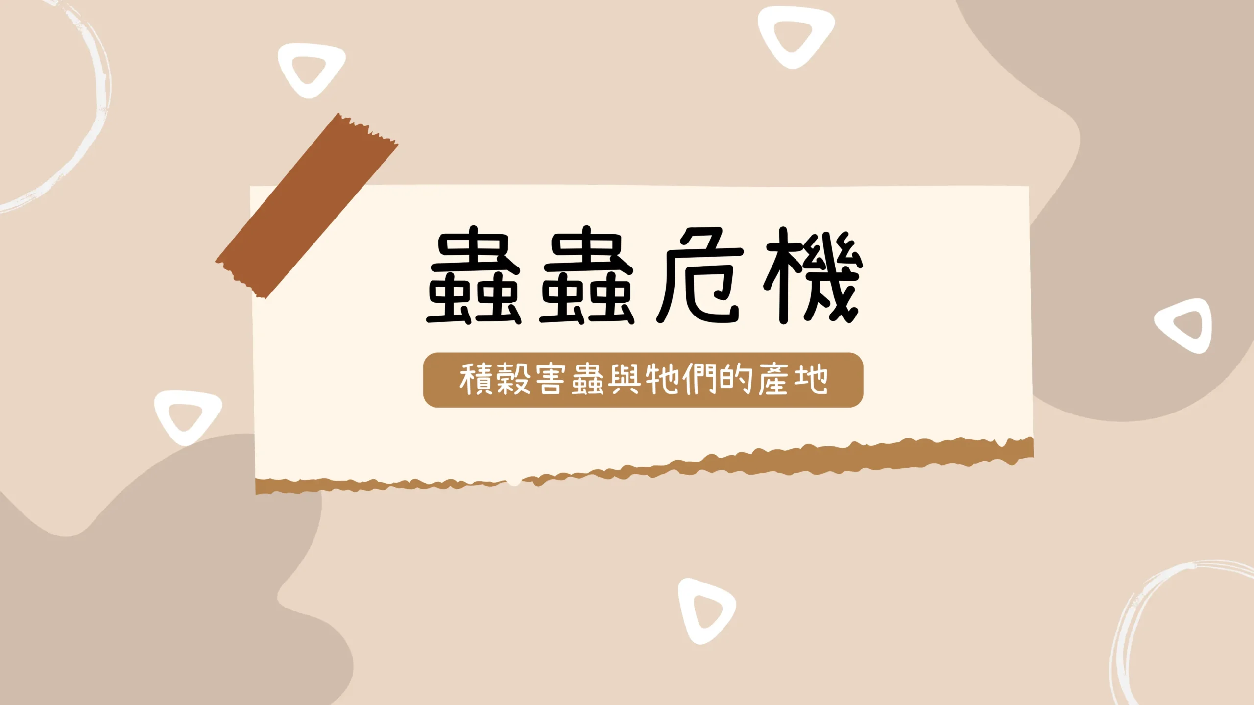 以積穀蟲害為主題的圖卡，標題為「蟲蟲危機：積穀害蟲與牠們的產地」，介紹米蟲與穀害蟲對天然稻米保存的影響。