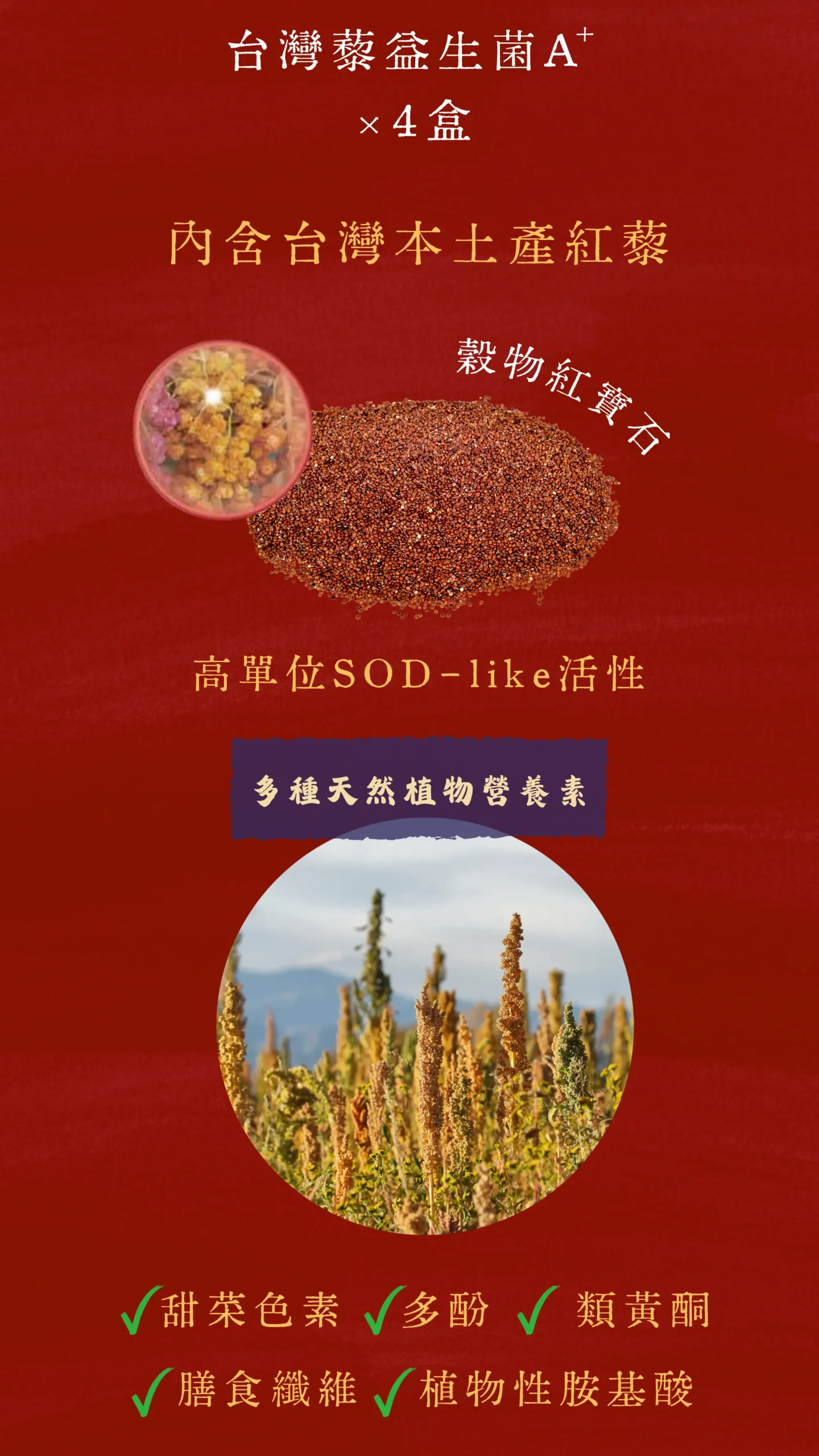 益生菌成分與功效