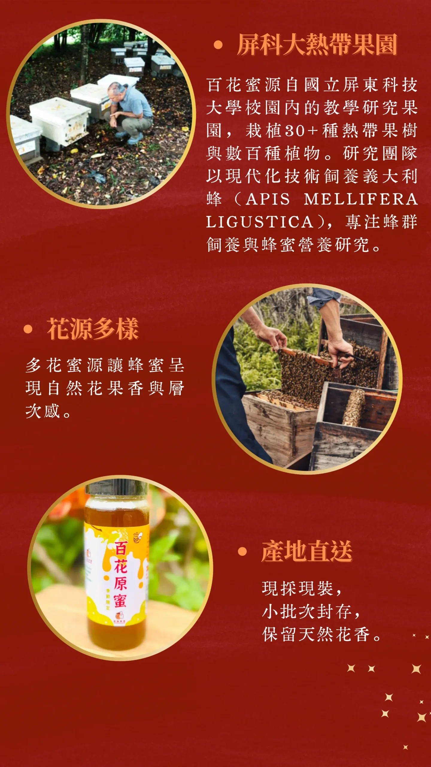 台灣在地養蜂與百花蜜採集畫面