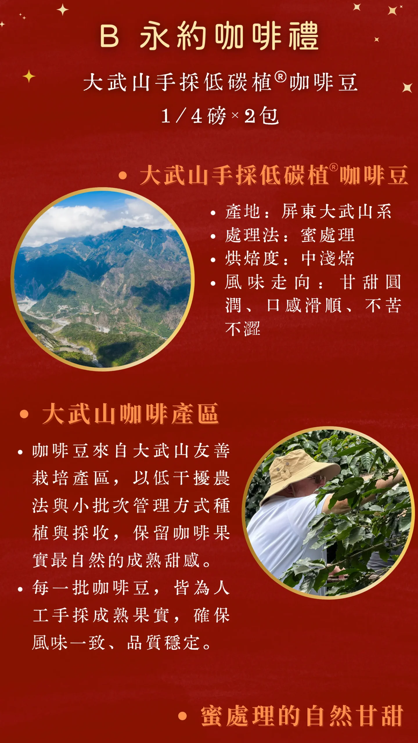 大武山咖啡產地介紹