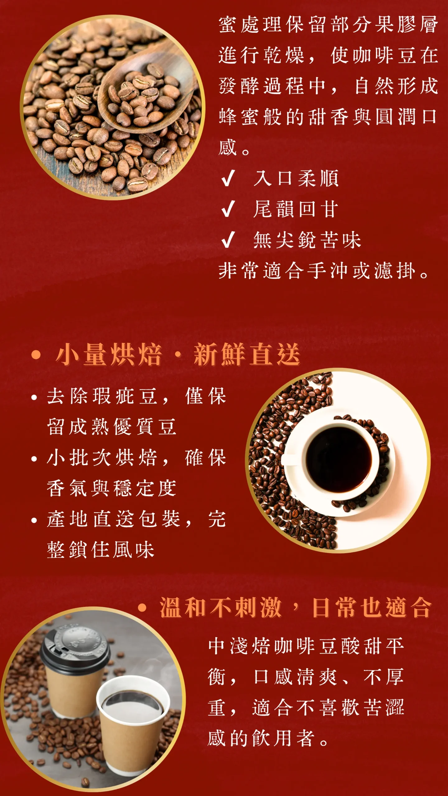 咖啡風味與沖煮建議