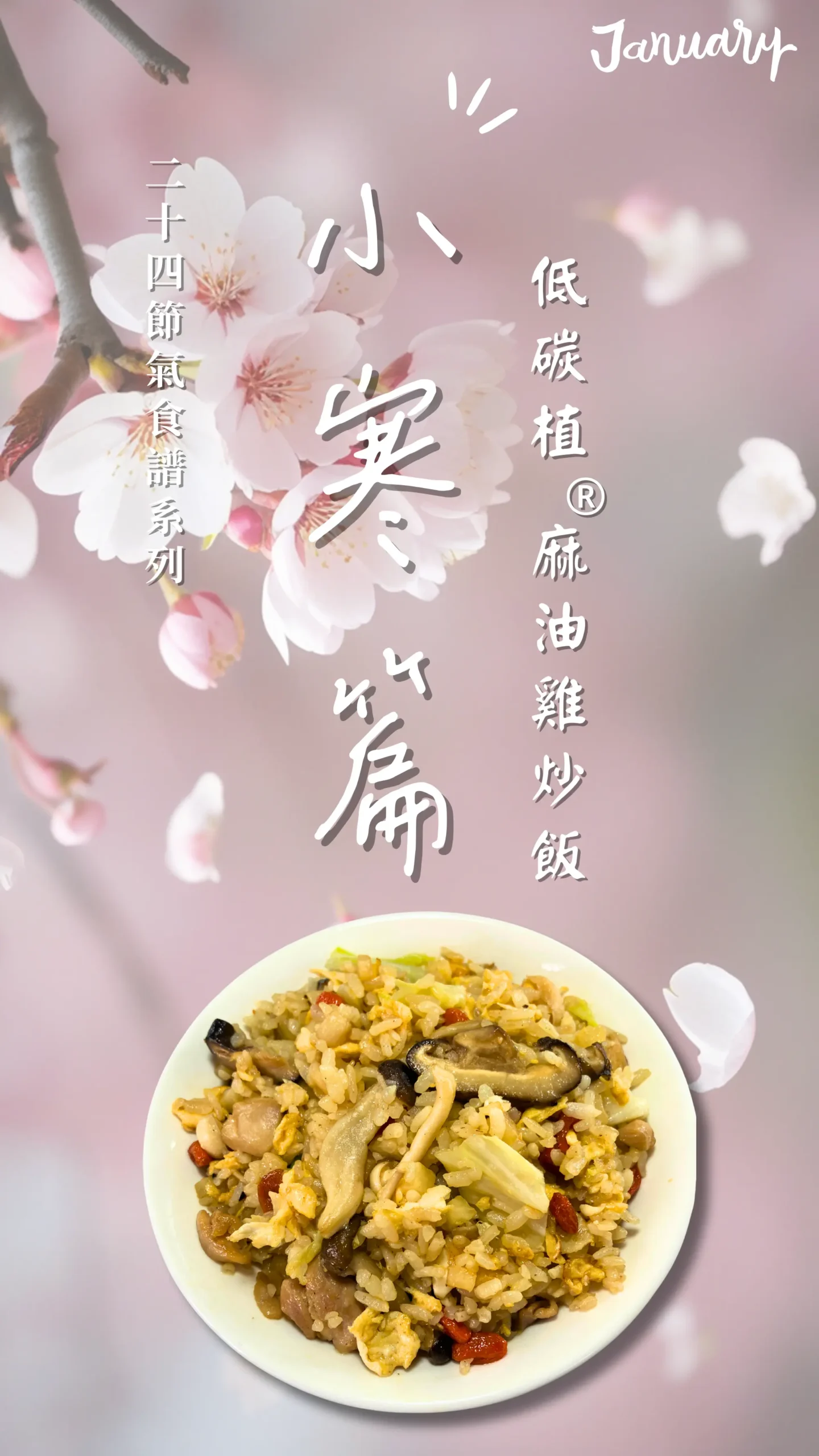 小寒節氣低碳麻油雞拌飯封面主視覺