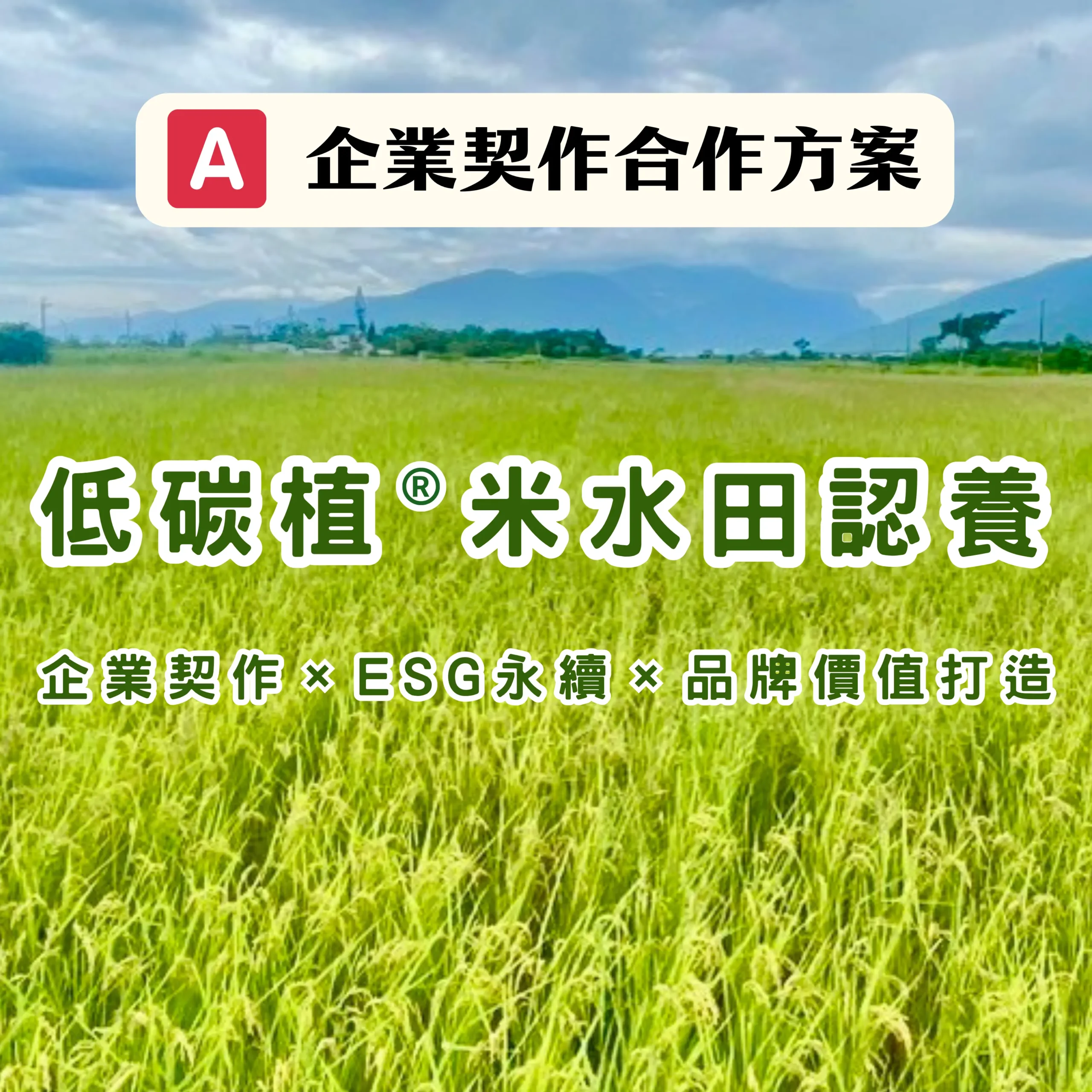 低碳植®米水田認養｜企業契作 × ESG永續合作方案