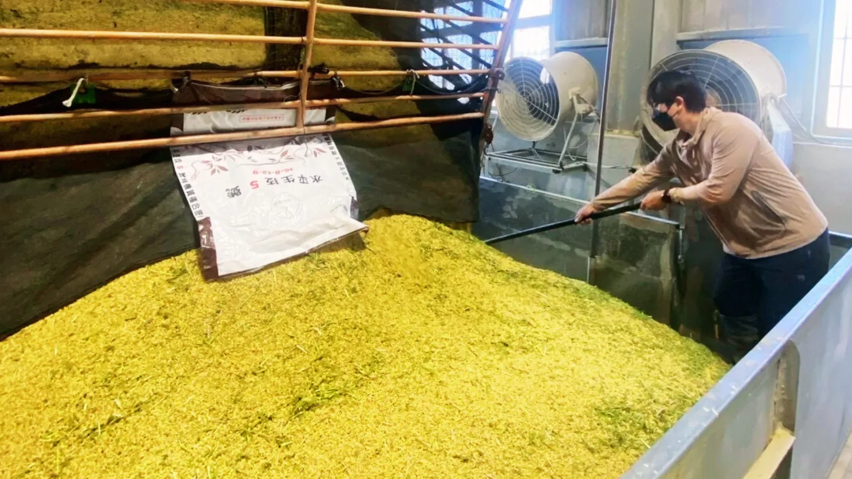 我們將稻穀從車上卸下來，再經過烘乾機將濕穀烘乾。