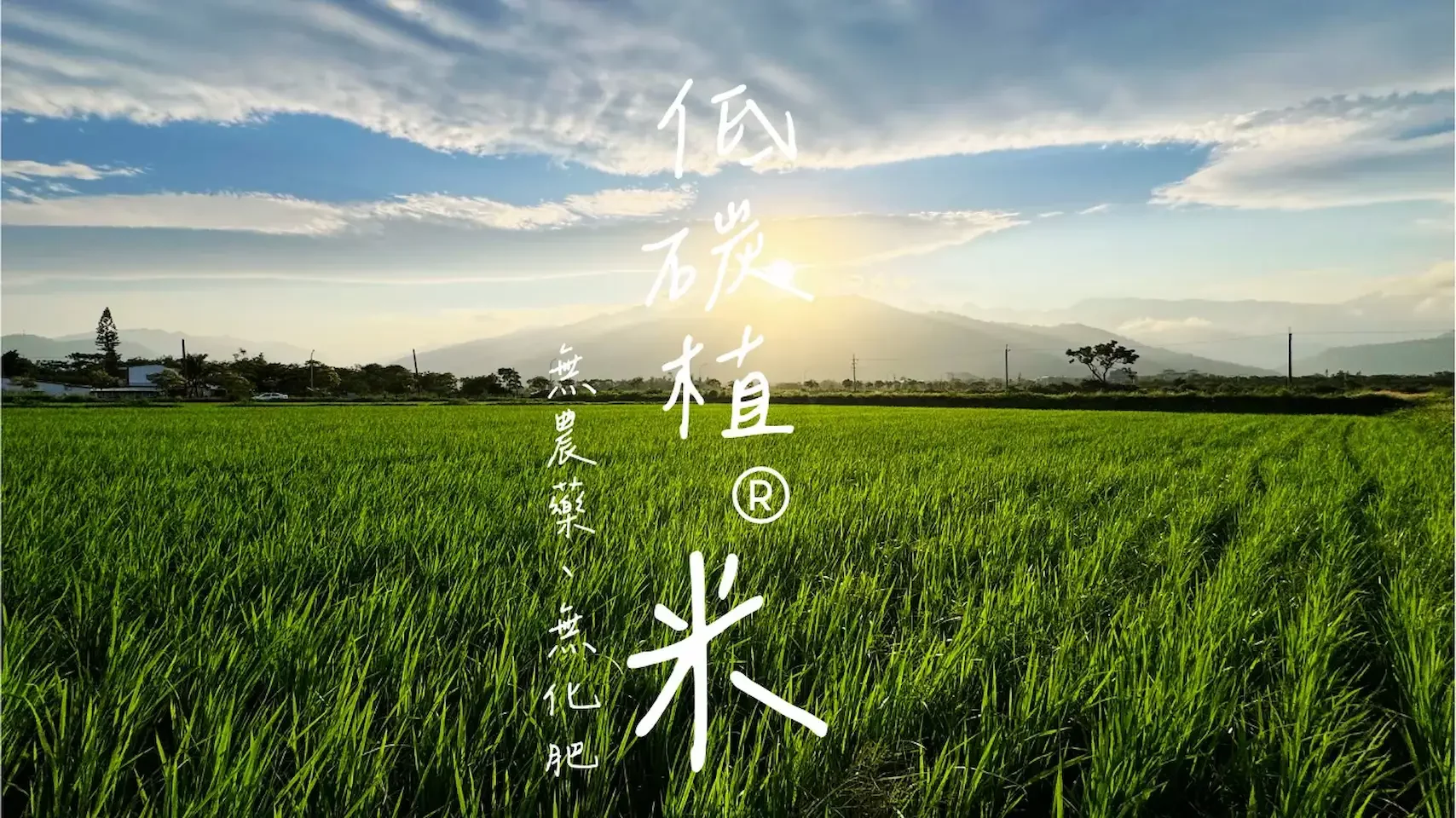 從土地出發，無農藥、無化肥的SPRI減碳農法，為地球環境與你我的健康，孕育出的低碳植米。