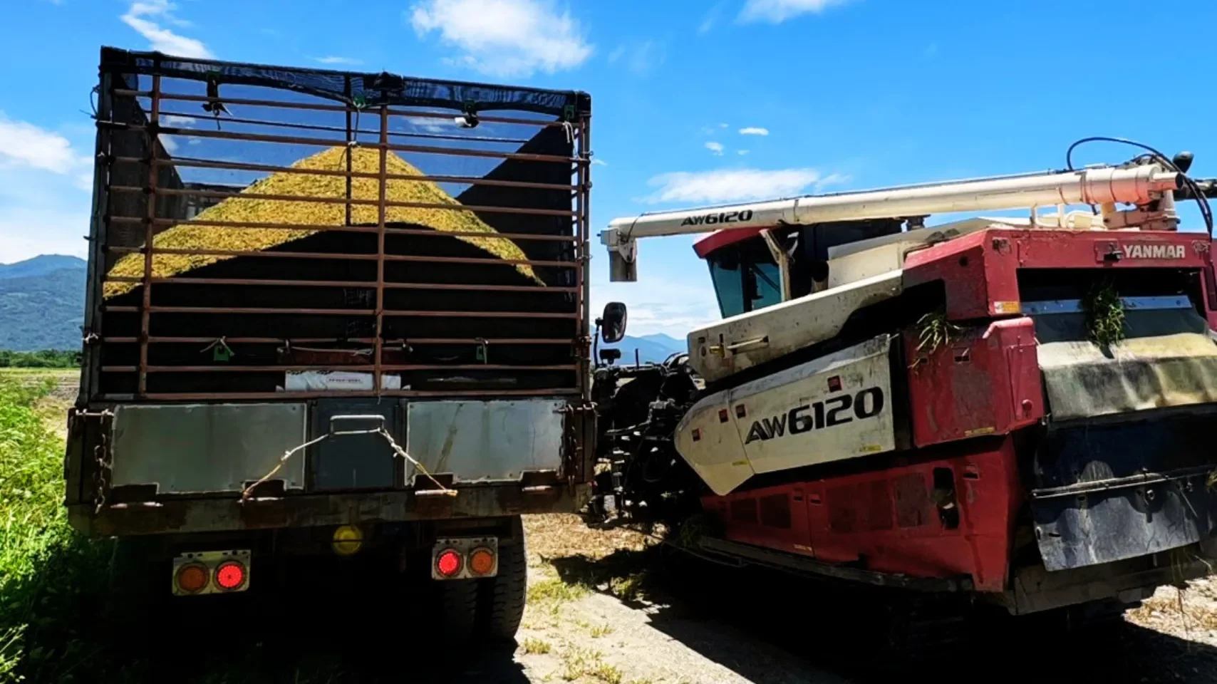 在依照小播數、間距八吋，並且沒有施用農藥、也沒有施用化學肥料的田區，粒粒皆辛苦。 但我們更期待的是，在溫室效應、糧食分配不均與地球環境資源衰減的情況之下，能夠給予生態環境、以及整個地球環境的價值。